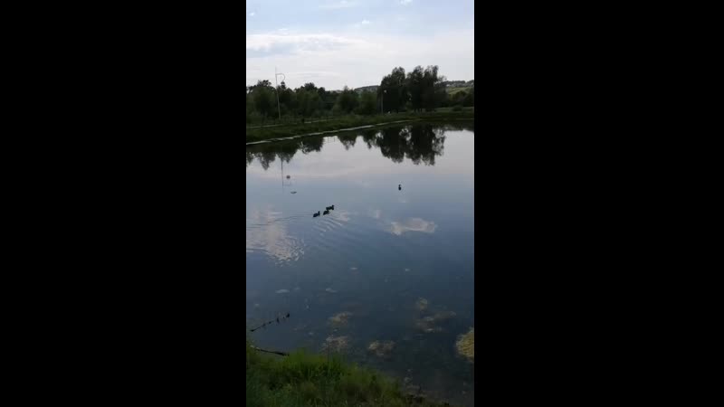 VID_20200710_140532.mp4