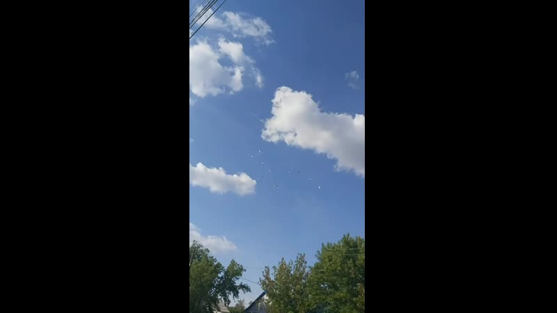 20200704_175749.mp4