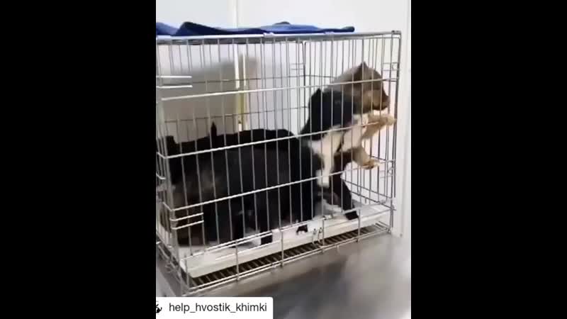 VID_107641004_021120_311.mp4