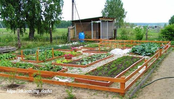 8 ОГОРОДНЫХ СЕКРЕТОВ 8 ОГОРОДНЫХ СЕКРЕТОВ1. Йод для капустыВ ведро воды добавить 40 капель йода.Когда начнет формироваться кочан, поливать капусту под растение по 1 литру.2. Ускорение