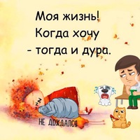 Моя жизнь когда хочу тогда и дура картинки, открытки