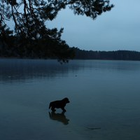 Фотография анкеты Татьяны Морозовой ВКонтакте